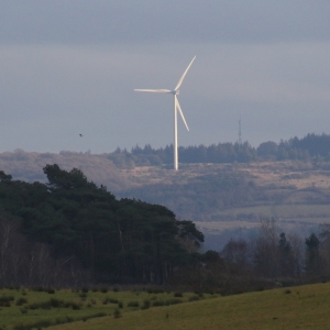 Sun lit Wind turbine on Cathkin Braes